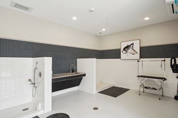 Pet spa